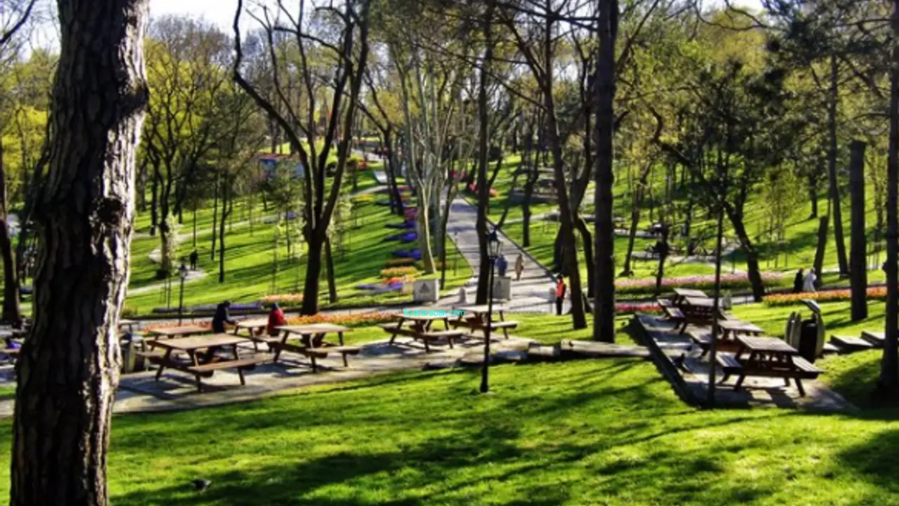 Osmaneli Ucretsiz Otopark 1