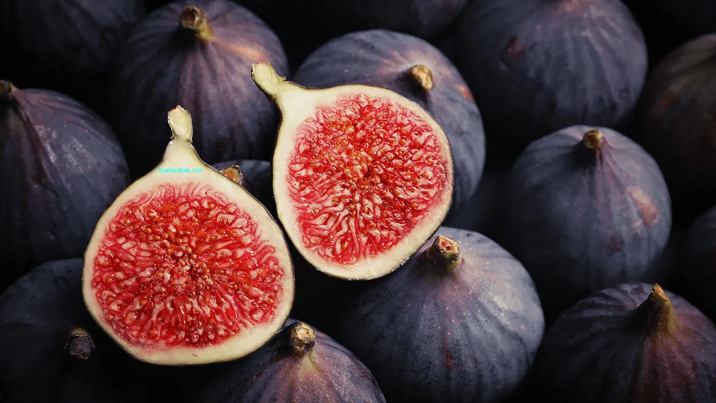 İncir Fiyatları 2024