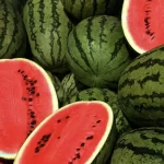 İzmir'de Ücretsiz Kavun Karpuz Dağıtımı