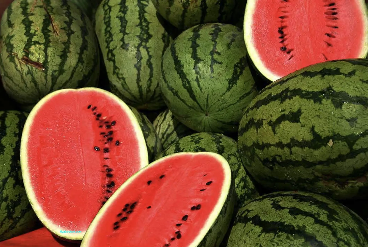 İzmir'de Ücretsiz Kavun Karpuz Dağıtımı